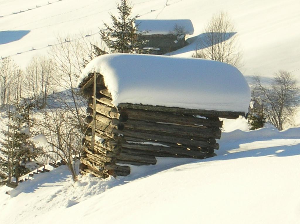 Apartamento Haus Konrad Reith im Alpbachtal Exterior foto